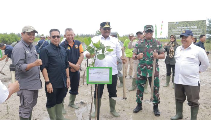 Peringati Hari Lahan Basah Sedunia, Safrizal Ajak Masyarakat Menanam Pohon