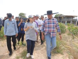 Wamen Diktisaintek Tinjau Kawasan Pantai Rambak untuk Lokasi SMA Unggulan Garuda