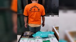 Bawa Sabu 5 Kilogram, Niko Sekew Diamankan Ditresnarkoba Polda Babel