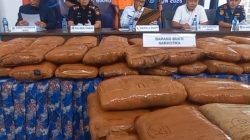 BNNP Babel Gagalkan 85 Kilogram Ganja, Pelaku Terancam Hukuman Seumur Hidup