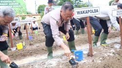 Dukung Swasembada Pangan, Polda Babel Gelar Penanaman Jagung Serentak Kuartal III